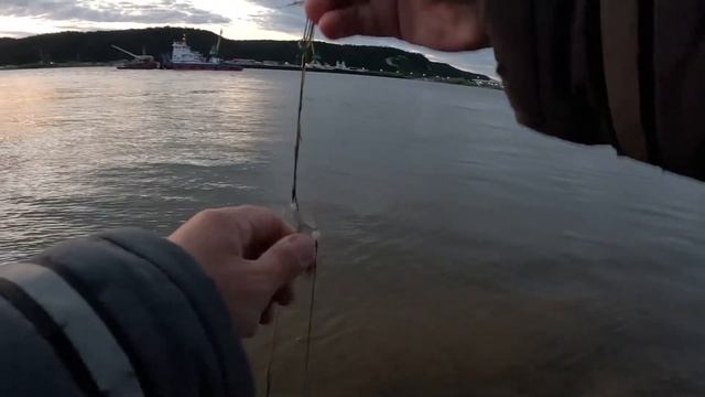 ЭТОТ МОНСТР ЧУТЬ УДОЧКУ НЕ УТАЩИЛ! Ночная рыбалка на Иртыше. смотреть онлайн