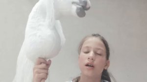 Распаковка нового хоббихорса! ??