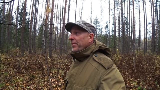 Things Can Go Wrong Fast In The Forest смотреть онлайн