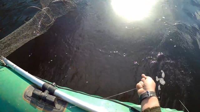 ВОТ ЭТО РЫБА!!!!! ТРОФЕЙНЫЙ ГОЛАВЛЬ И ЛЕЩ! Ловля леща на кольцо. Рыбалка на Волге смотреть онлайн