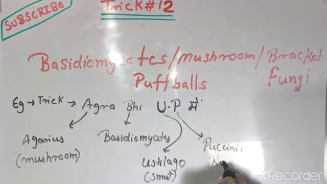TRICK BASIDIOMYCETES EXAMPLE FUNGI BIOLOGICAL CLASSIFICATION TRICK