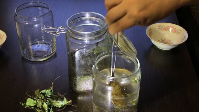 Как сделать эксперимент - Древние бактерии (Ancient Bacteria) #2