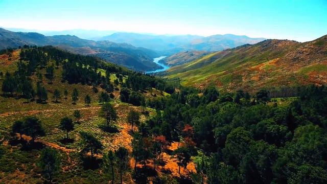 Подборка красивой музыки для души! Music For The Soul