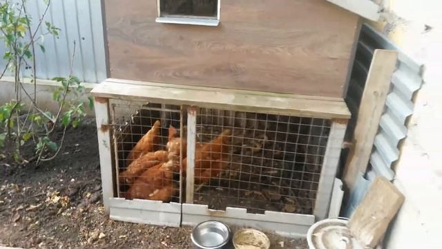 Стройка Гуру