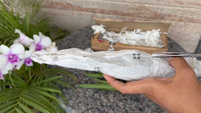 Unboxing New Orchids from EverGreen Orchids | Cattleya | Wishlist Orchid - 2022 #cattleya #orchids смотреть онлайн