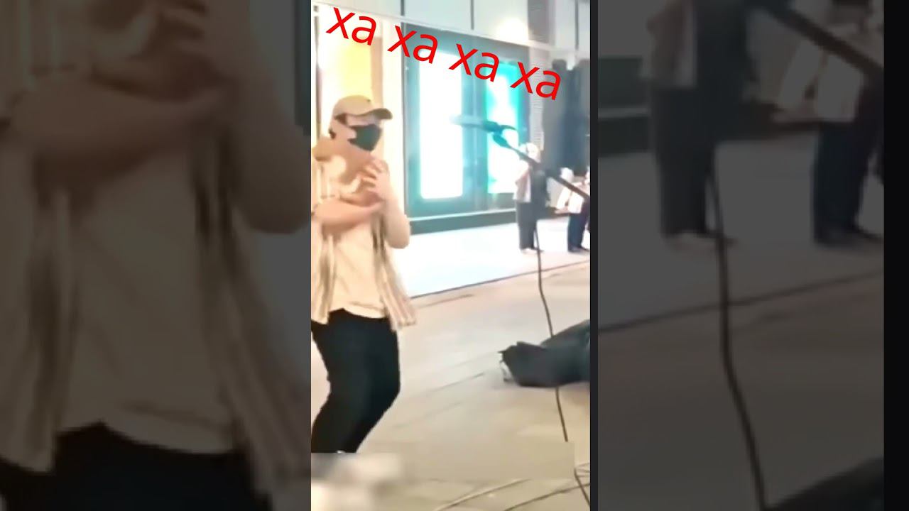 Приколы с котами! смотреть онлайн