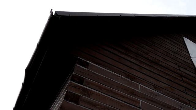 Слёток домового воробья смотреть онлайн