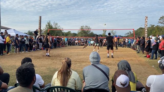 Central florida volleyball Taylor crabb , Barajas vs bobe y pichón смотреть онлайн
