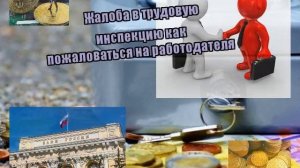 Жалоба в трудовую инспекцию как пожаловаться на работодателя