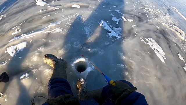 Интьересная рыбалка на окуня на Селигере возле Осташкова смотреть онлайн