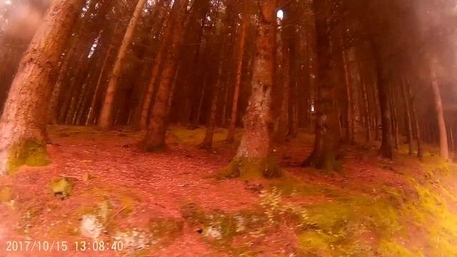 Что обязательно нужно посетить в Англии !!!! DODD WOOD FOREST. Додд (Лейк-Дистрикт) смотреть онлайн