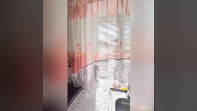 Продам ДОМ пос Платовка Оренбургская область смотреть онлайн