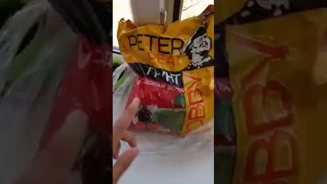 Какую я землю использую для цитрусов?РАСКАЖУ! смотреть онлайн