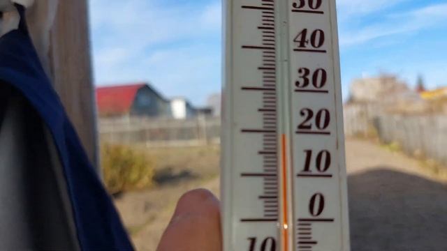 Купил солому для теплицы