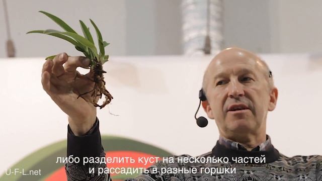 Мастер-класс | Как пересаживать орхидею? 3 разных вида | Ботанический сад им. Гришка, Киев смотреть онлайн