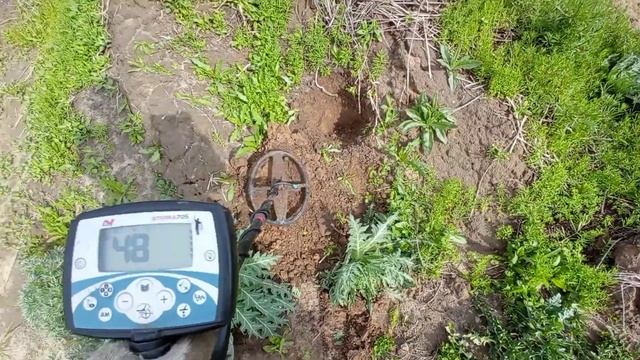 Коп на склоне холмов вблизи реки Воронеж смотреть онлайн