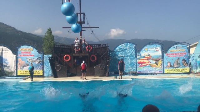 ЦЕНЫ на отдых в Крыму 2017 г. / Ялта / акватория / ДЕЛЬФИНАРИЙ / плаваем с крымскими дельфинами смотреть онлайн