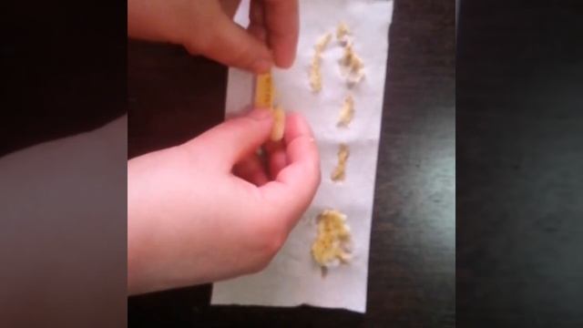 Сажаем банан. Мой опыт. смотреть онлайн