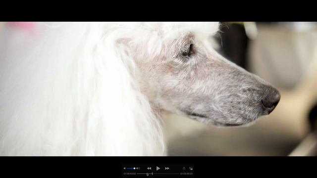 Tokina Atx-m 33mm F1.4  For SONY E Mount
