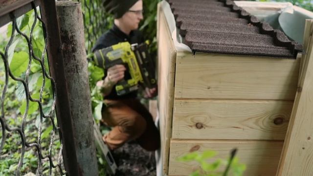 Нашел собаку. Построил будку. смотреть онлайн