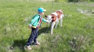 Башкирия 💚 Кармасан #Bashkiria