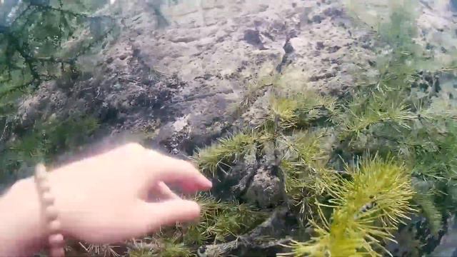 Курай. Часть 1. смотреть онлайн