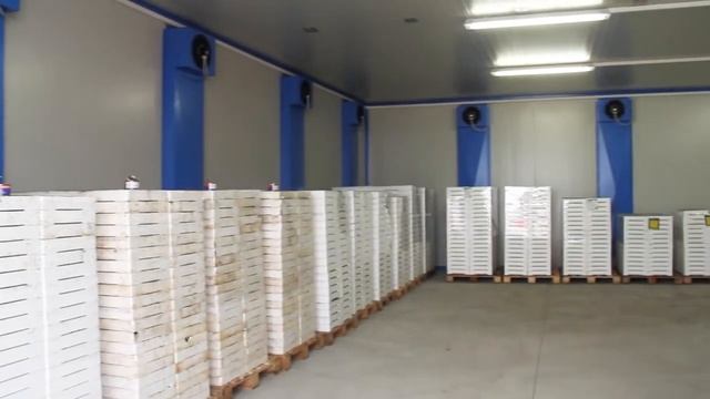 Камера для проращивания и хранения семян | Urbinati смотреть онлайн