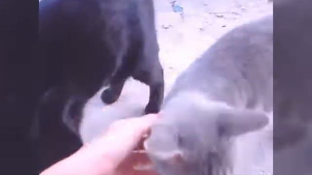 TAGG#1 Чем заняться когда одна дома?