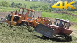 Закладка сенажа в яму - трактор ДТ-75, погрузчик Амкодор 332В, а так же Т-150К, МТЗ-80 и Камаз 55111
