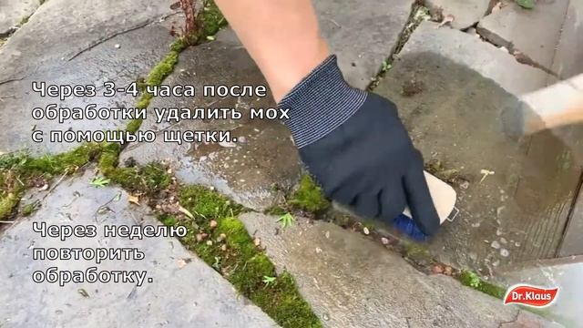 Как избавиться от мха на дачном участке. Лучшее средство от мха Dr.Klaus смотреть онлайн