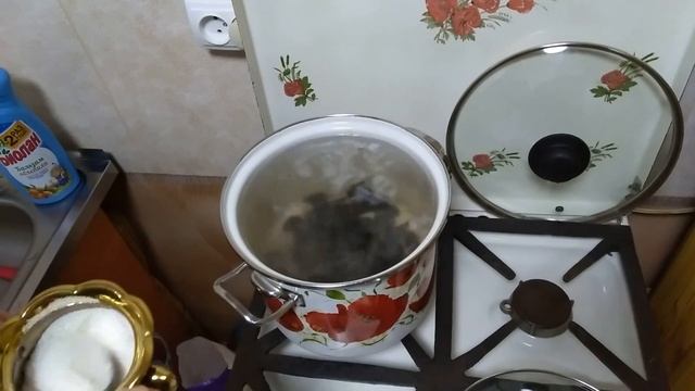 Наука о Здоровье и Жизни