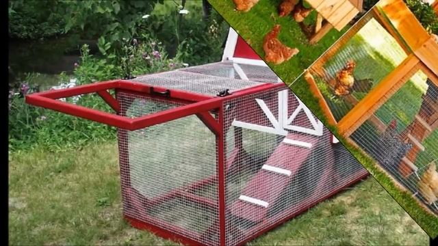 Какой курятник или птичник для кур самый лучший для дачи смотреть онлайн