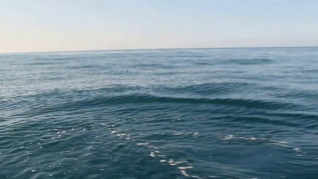Путешествие на черное море, CОЧИ 2016.Погоня за дельфинами смотреть онлайн