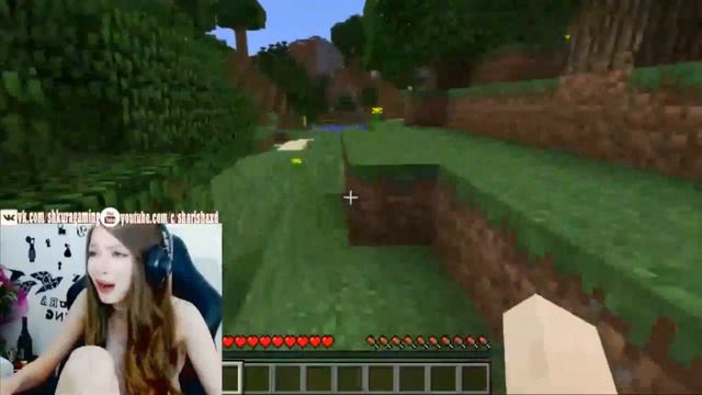 Карина играет в Minecraft - Крипер взорвал дом смотреть онлайн