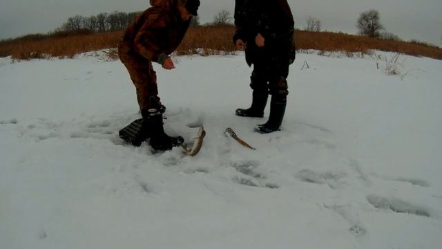 Зимняя рыбалка 2017. Усовка. Ловля щуки на жерлицы на новом месте. смотреть онлайн