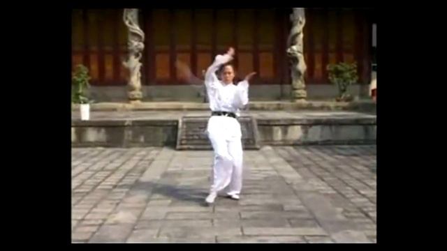 Таолу ушу стиля Юнчунь Байхэ Цюань мастера Су Ин Хань. Часть 1 смотреть онлайн