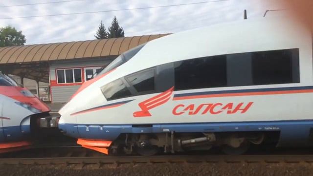 Двойной сапсан проносится на станции Колпино в Москву смотреть онлайн