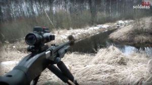 Охота на бобра #охота