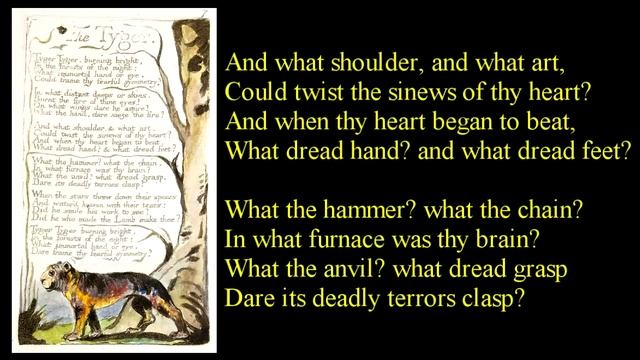 Tyger! Tyger! Burning Bright  ~ Poem Reading With Text