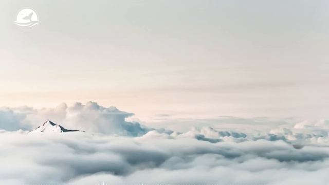 Pieter Savenberg - Fly смотреть онлайн