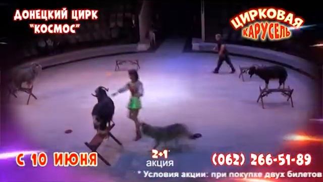 Новая программа в донецком цирке "Космос". смотреть онлайн