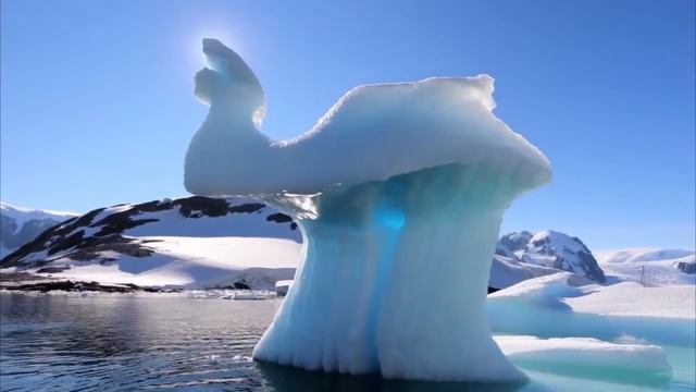 Arctic vs Antarctic A Climate Flora Fauna Comparison I Как отличается Погода На Севере и Юге Земли смотреть онлайн