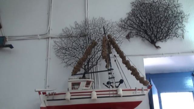 Морские губки Sea sponges смотреть онлайн