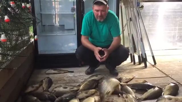 24.05.18 (50 кг)Вот такой улов с основного водоема к обеду смотреть онлайн