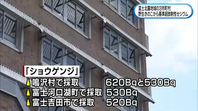 山梨県、野生きのこから基準超える放射性セシウム検出 5倍超のものも смотреть онлайн