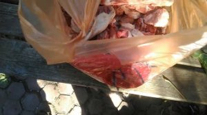 Каша для алабаев. Варю кашу для крупных пород собак на мангале. 10.10.2021