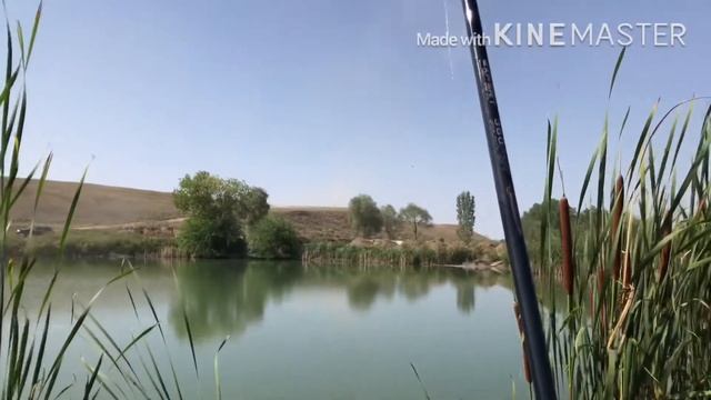 Рыбалка в Алматинской области.Казахстан.Кизовское озеро.Чуть не упал с дерева.Мое первое видео. смотреть онлайн