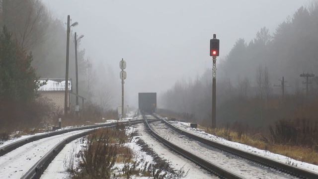 Грузовые поезда туманным днём. 2ТЭ116-1508, 2ТЭ116У-0237 смотреть онлайн