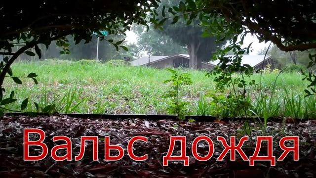Стих-вальс дождя смотреть онлайн