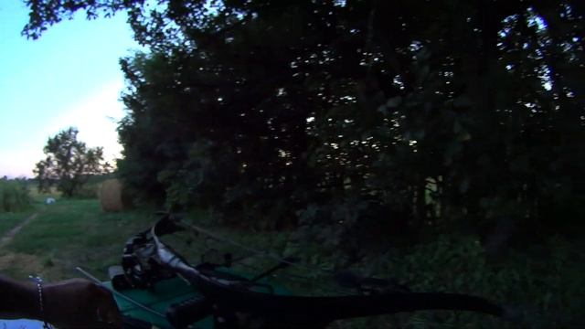Самый простой способ собрать хороший лук азиатского типа. смотреть онлайн